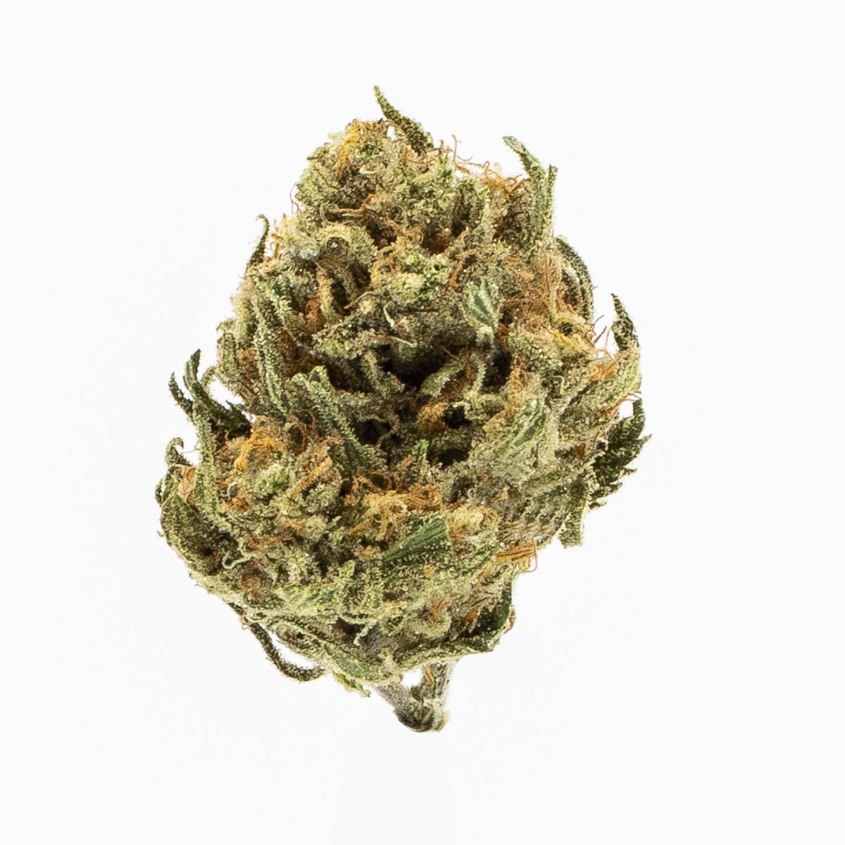 Marijuana Dispensary Near Me in Manitou Springs Maggie's Farm