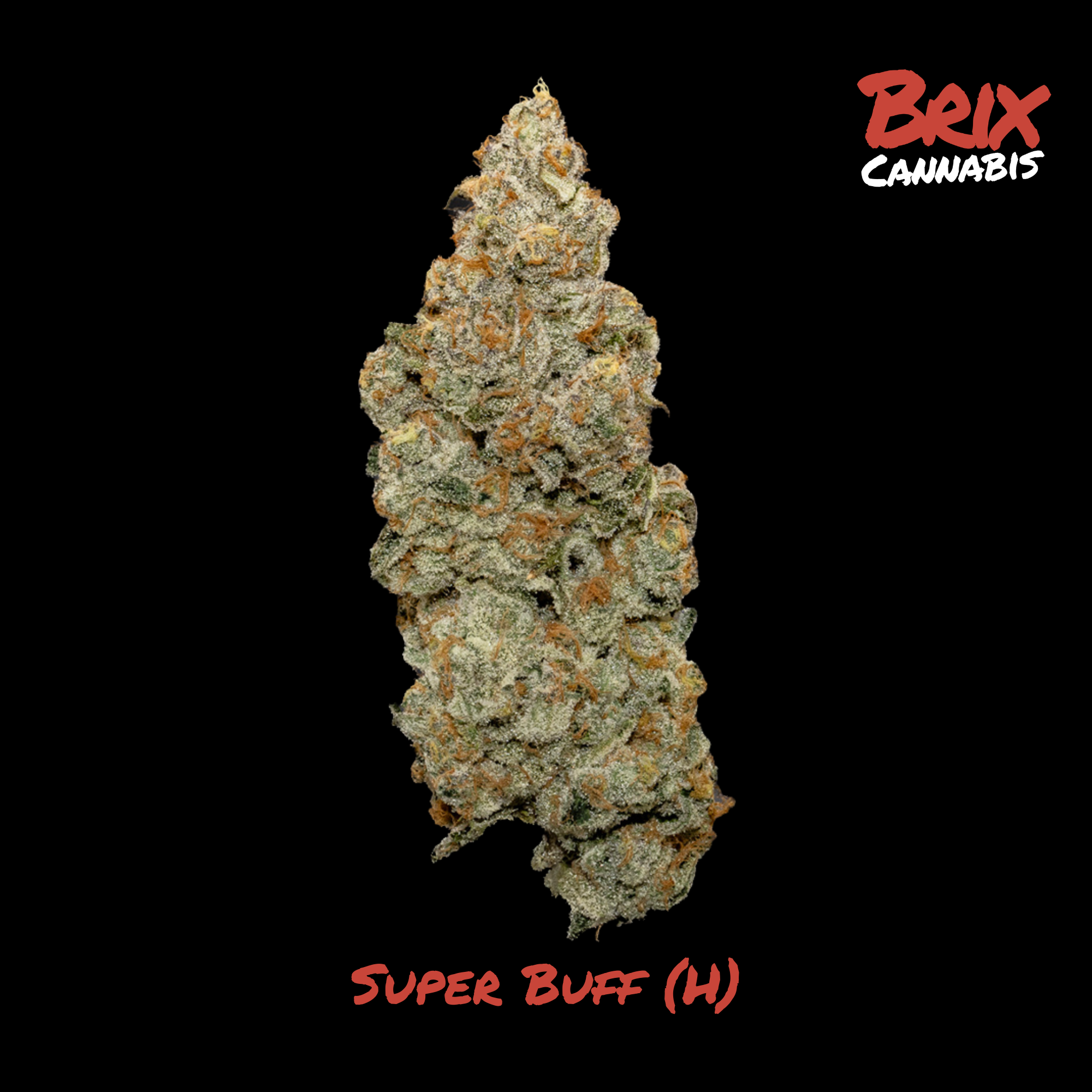 BRIX Cannabis - Super Buff (H) Flower  C0101000513
