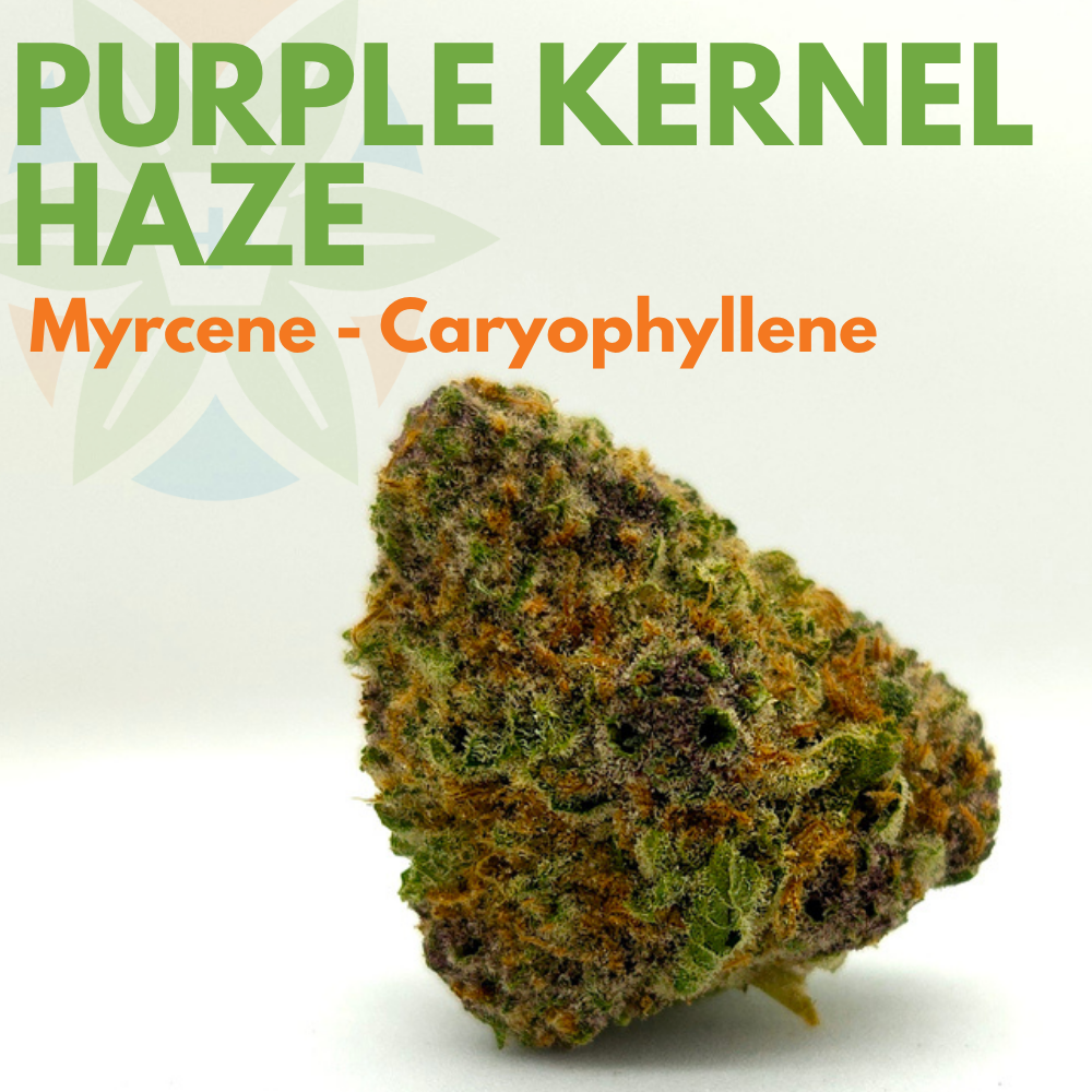 Purple Kernel Haze
