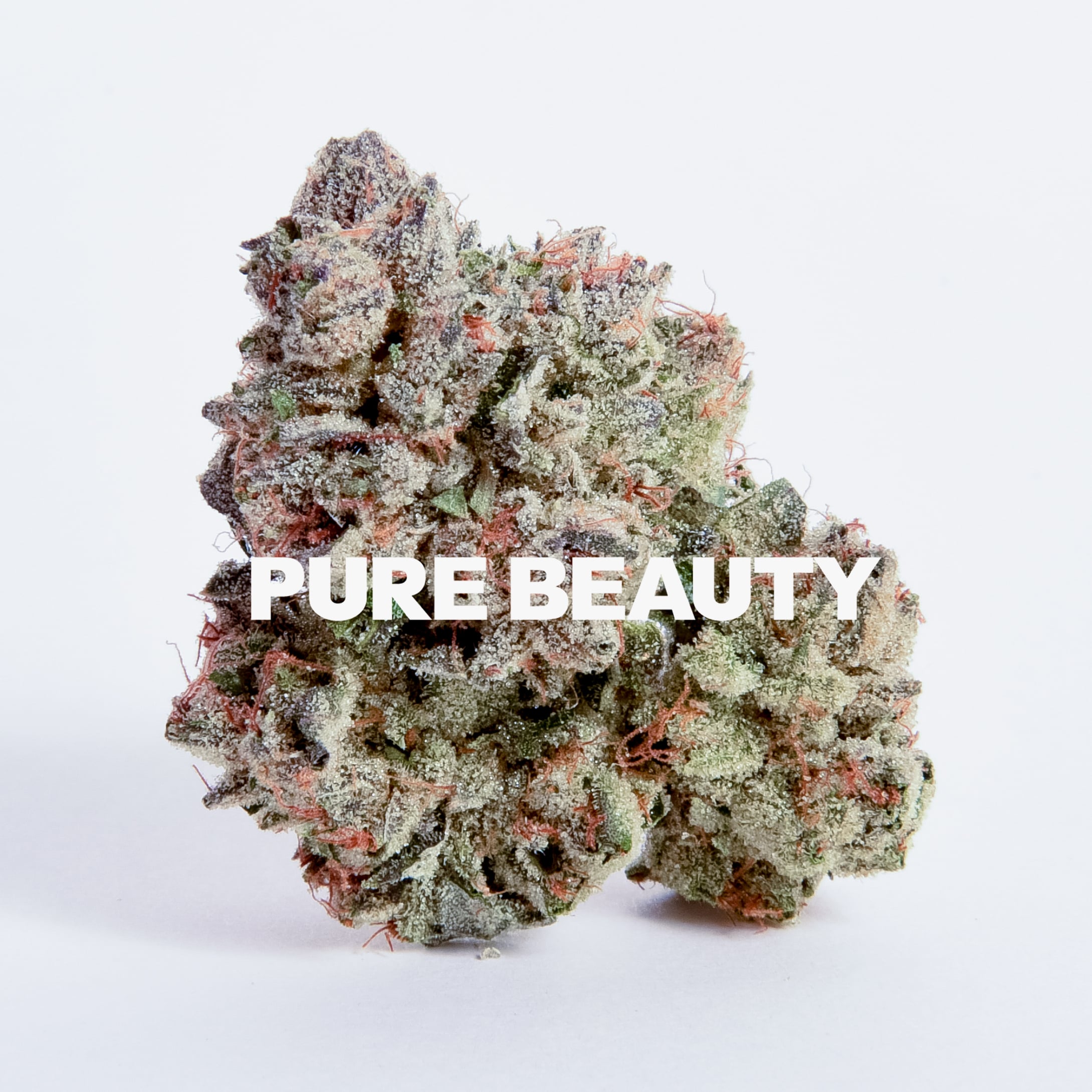 Shop Zowah | Canna Culture Collective - Charter Park Dispensary