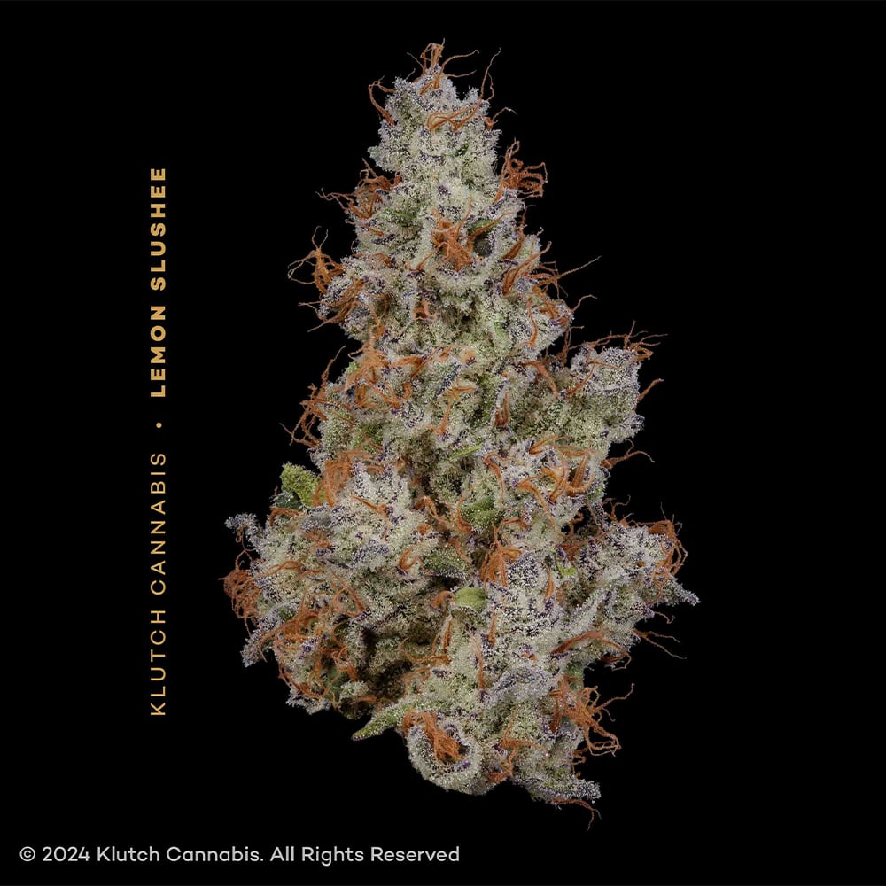 KLUTCH - LEMON SLUSHEE - [3.54G] - SATIVA