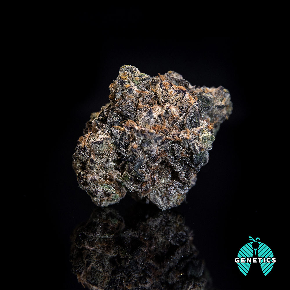 Kush Mints Maitri Jane