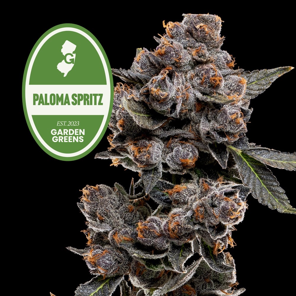 Paloma Spritz