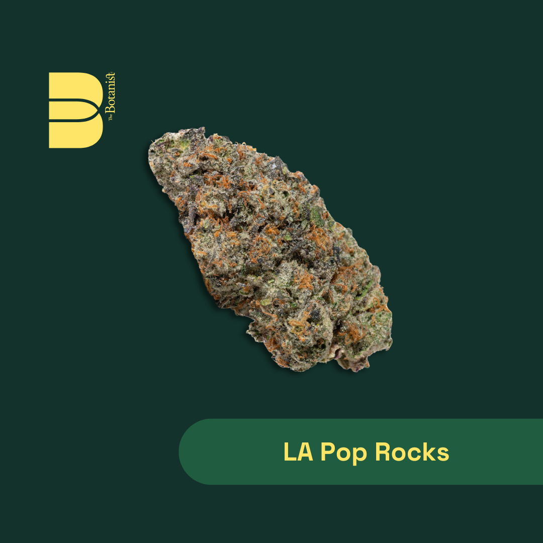LA Pop Rockz