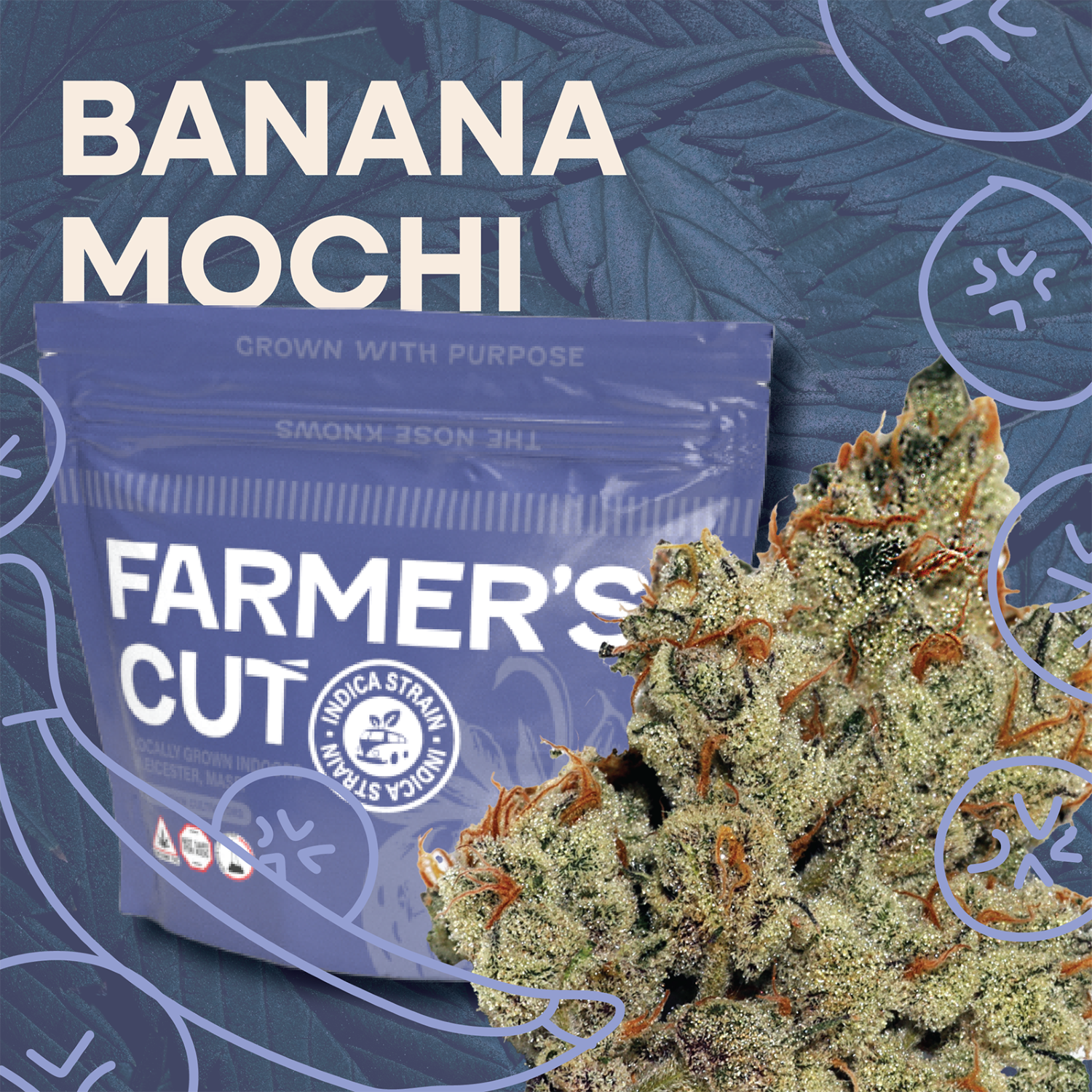 Banana Mochi - 1/8oz in City