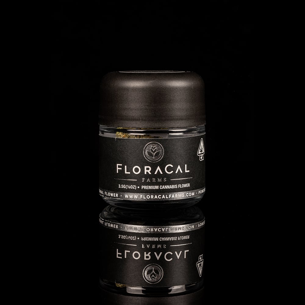 White Lobster White Lobster