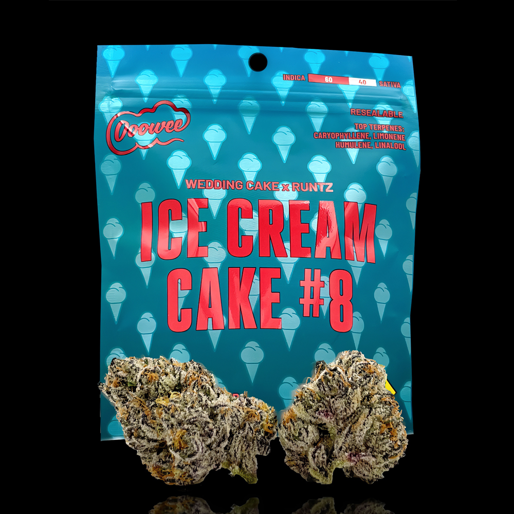 Ice Cream Cake #8