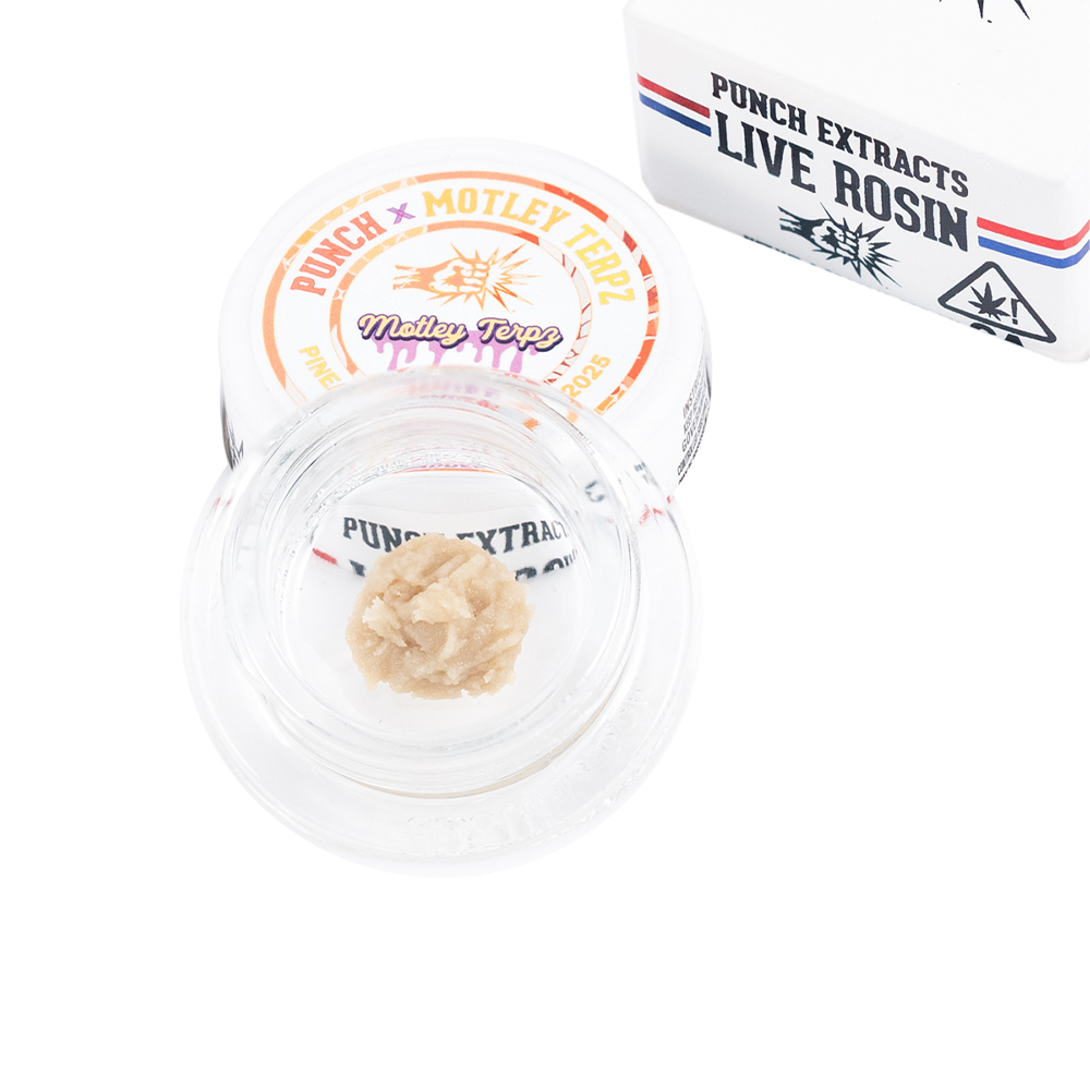 Pineapple Marrakesh 2025 Pineapple Marrakesh 2025