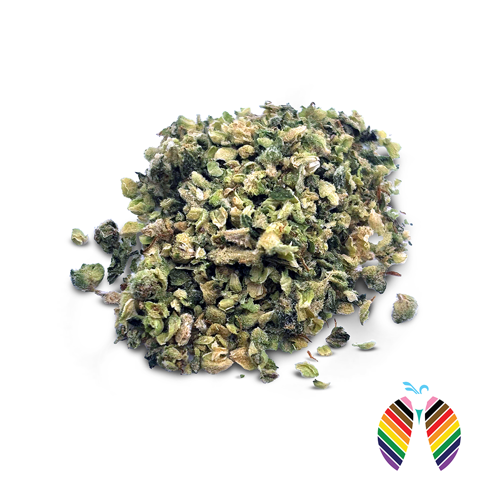Shop Peacock Pride | Hive Dispensary - Williamsport Williamsport, PA