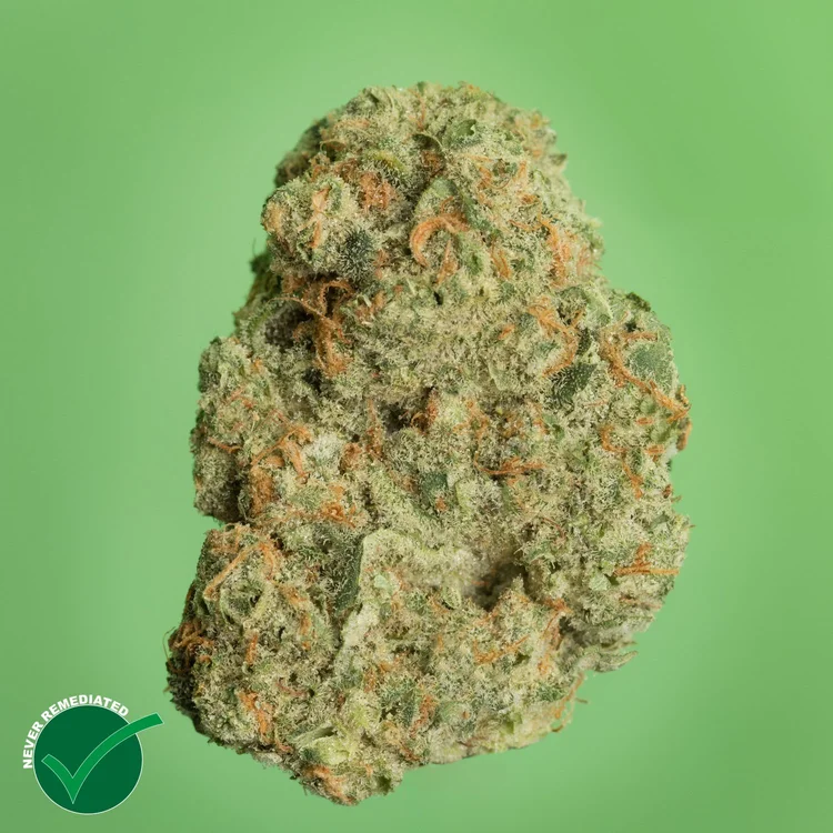 Theraplant - Super Buff (S) Flower C0040001291 Theraplant - Super Buff (S) Flower C0040001291