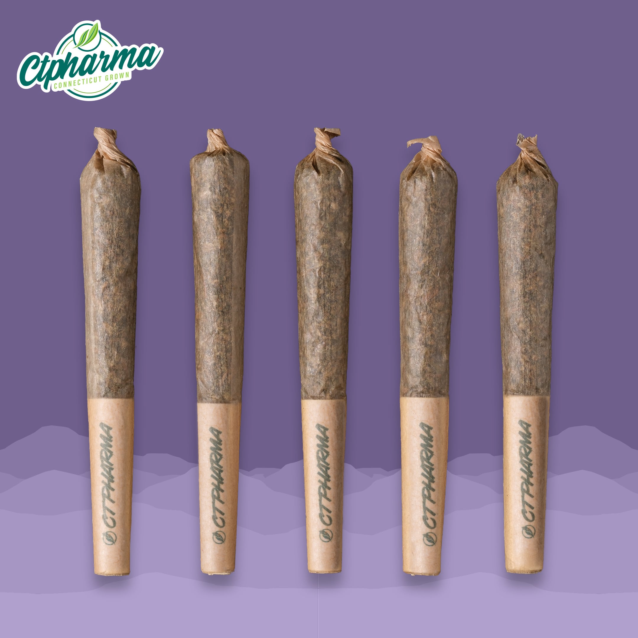 Shorties 5pk Trophy Dawg