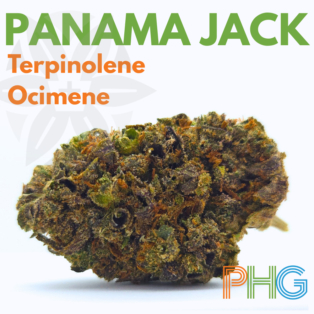 Panama Jack