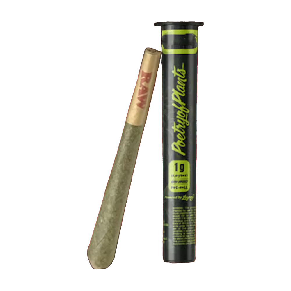 Heavy Metal [1g]