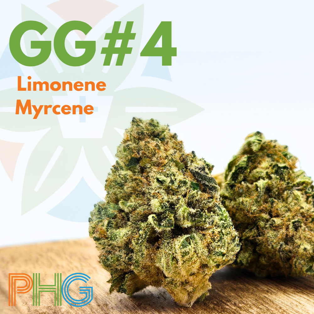 Shop GG #4 | Vytal Options - Lansdale Dispensary Lansdale, PA