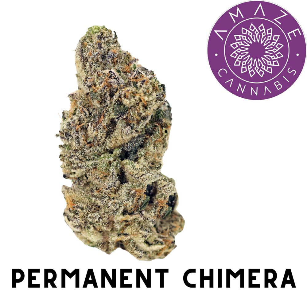 Shop Permanent Chimera | Jane