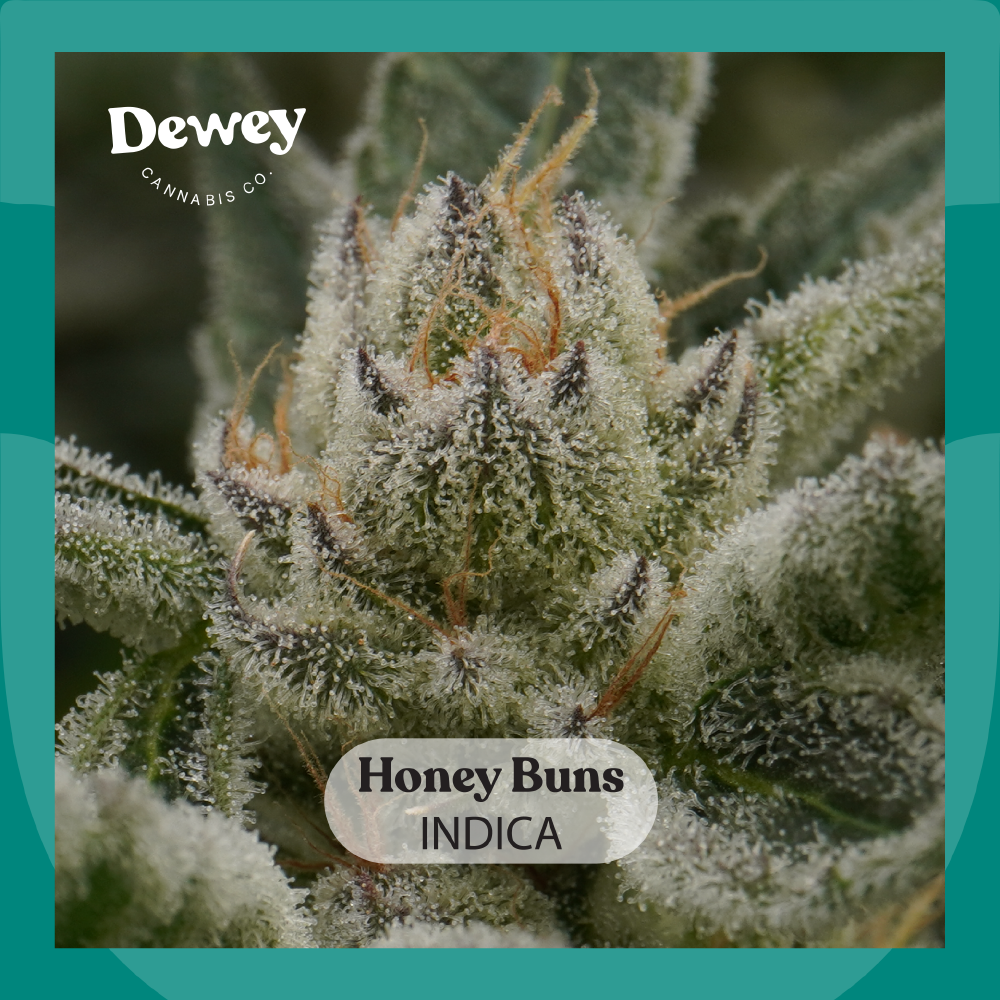 Honey Buns