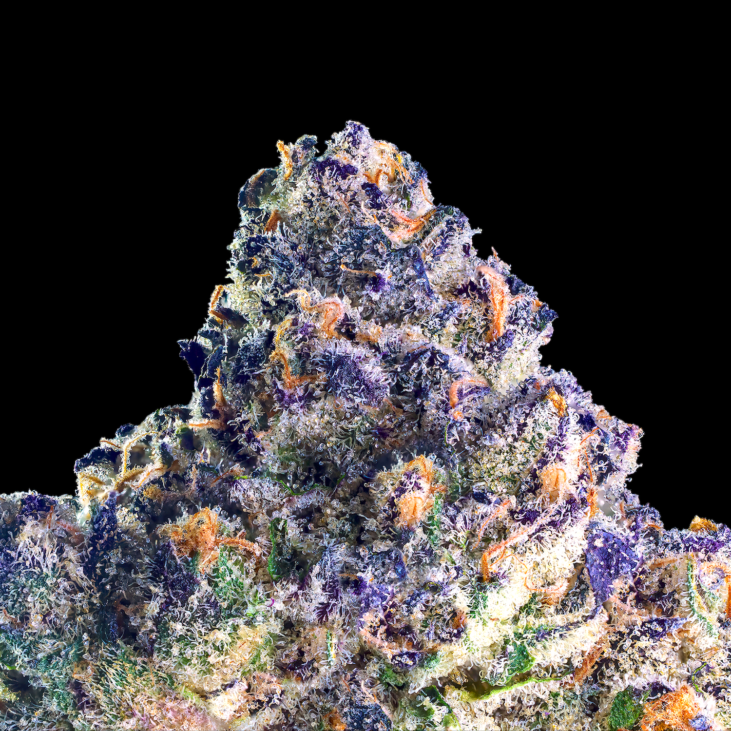 62662043-4e8d-4832-b223-