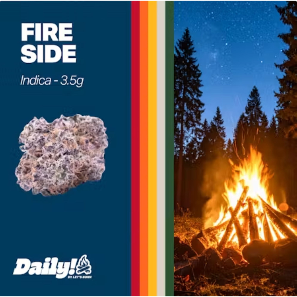 Daily! - Fireside (I) Flower  C0200000148