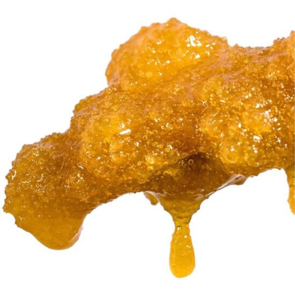 Gak Lemon Zelatti