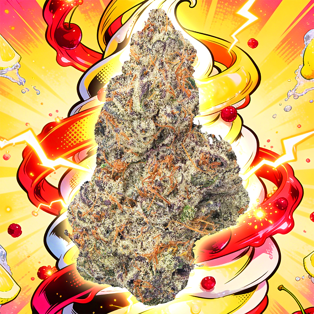 Lemon Cherry Gelato [1g]