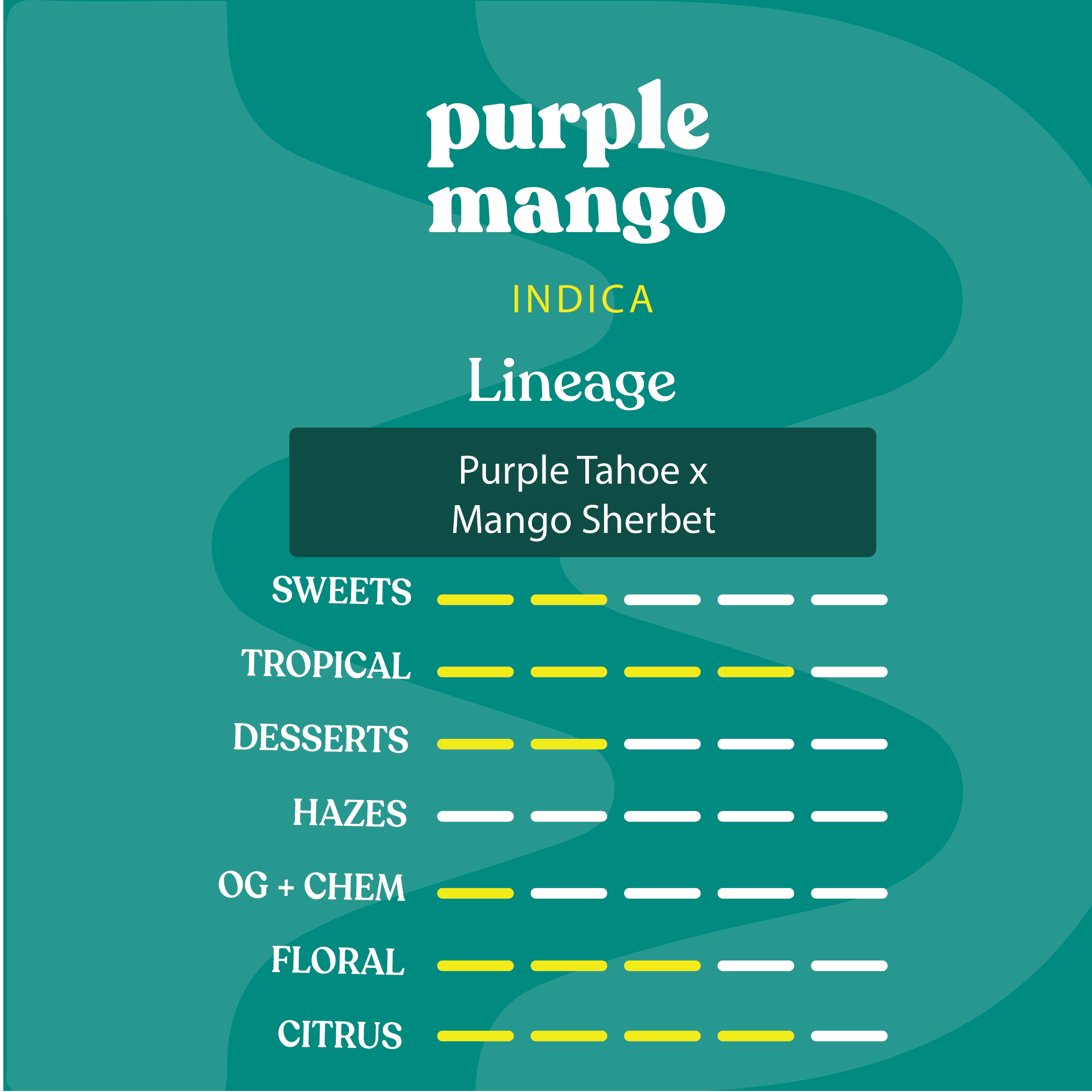 Purple Mango
