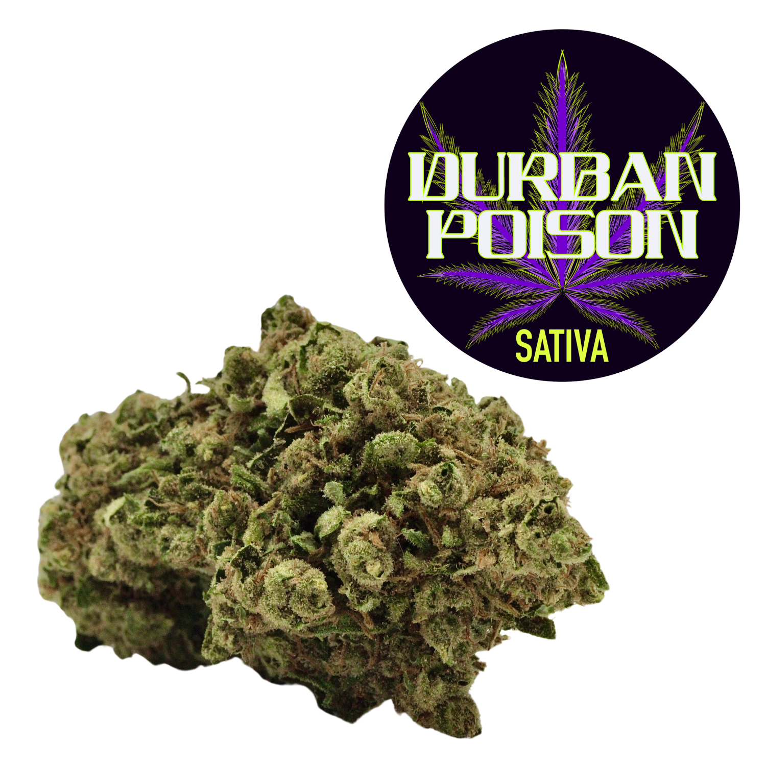 Shop Durban Poison | Buds Garage - Everett Dispensary Everett, WA