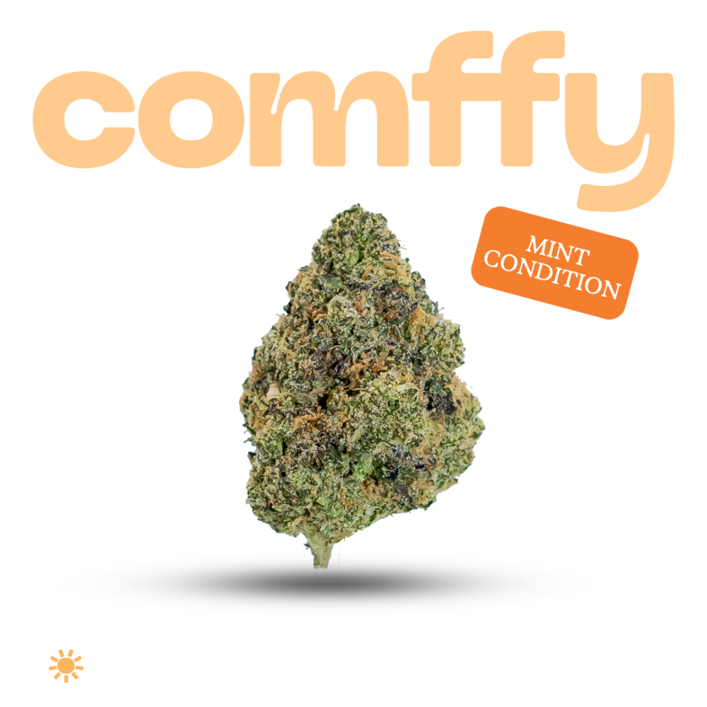 comffy - Mint Condition (S) Flower  C0140000273