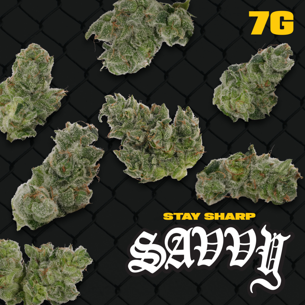 Savvy - Cheeeez (H) Flower  C0020027789