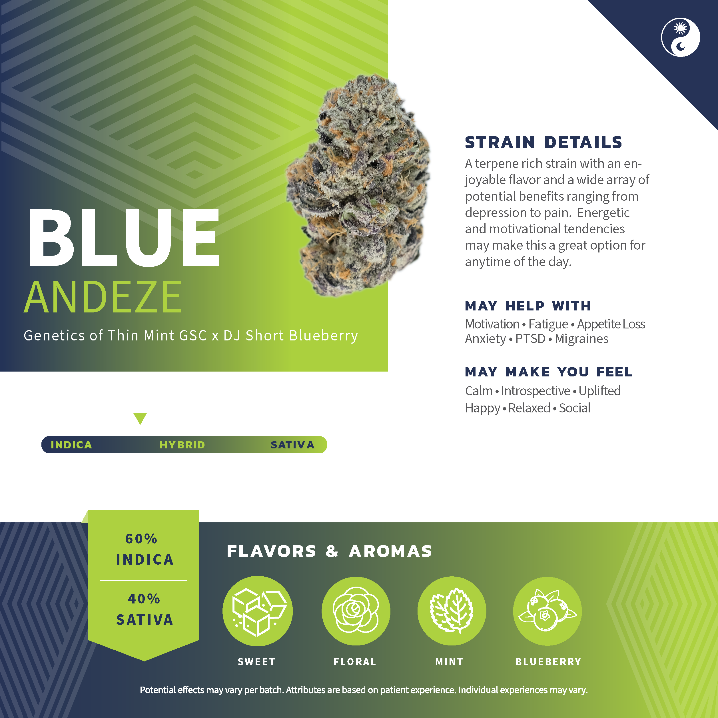 世界100台】WEED Blues D 2 MA104B BD-2 世界100台】WEED Blues Driver