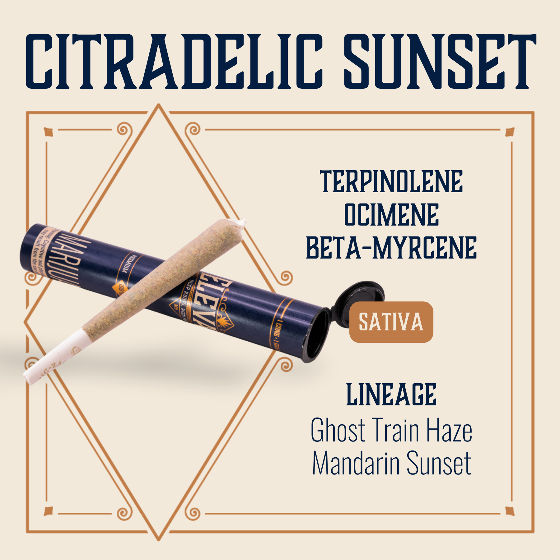 Citradelic Sunset