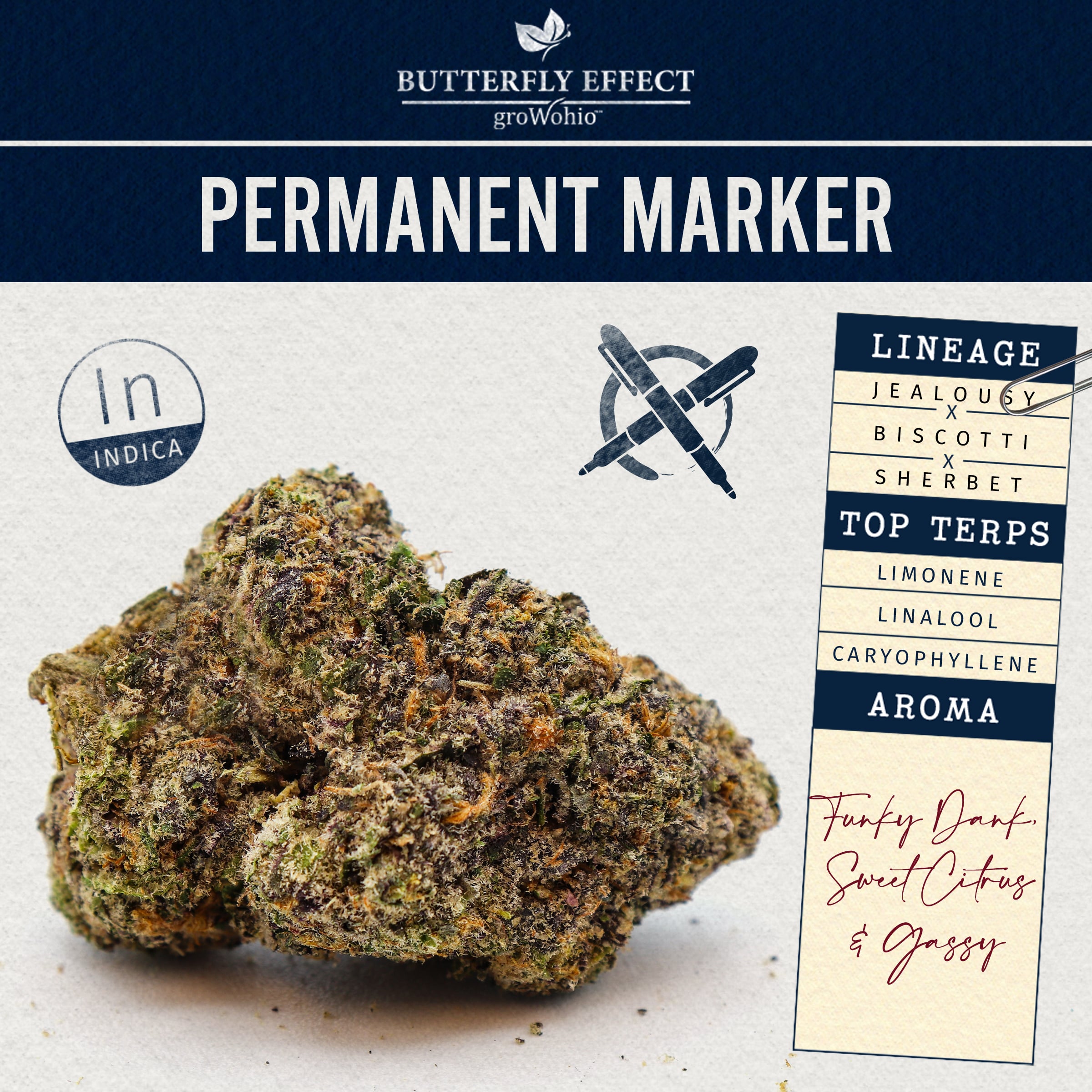 BUTTERFLY EFFECT - PERMANENT MARKER - [2.83G] - INDICA