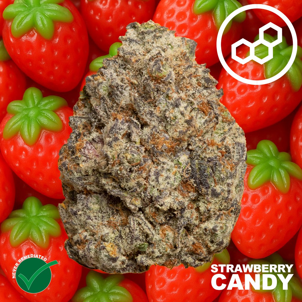 Theraplant - SBC (S) Flower  C0040001229