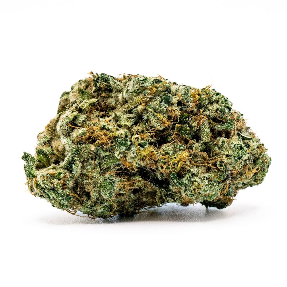 Cheddar Cheeze Cheddar Cheeze