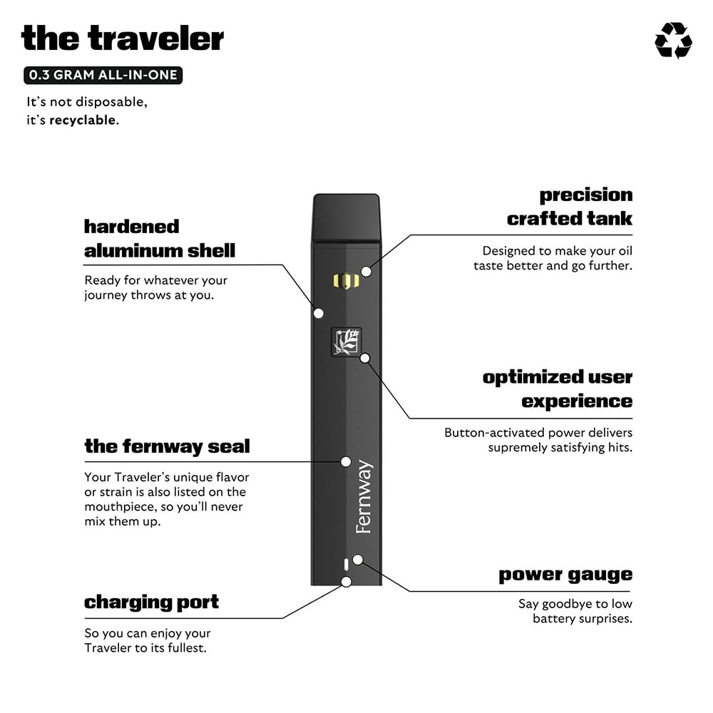 Shop Pumpkin Spice DISPOSABLE Vape Pen .3g | The Heritage Club