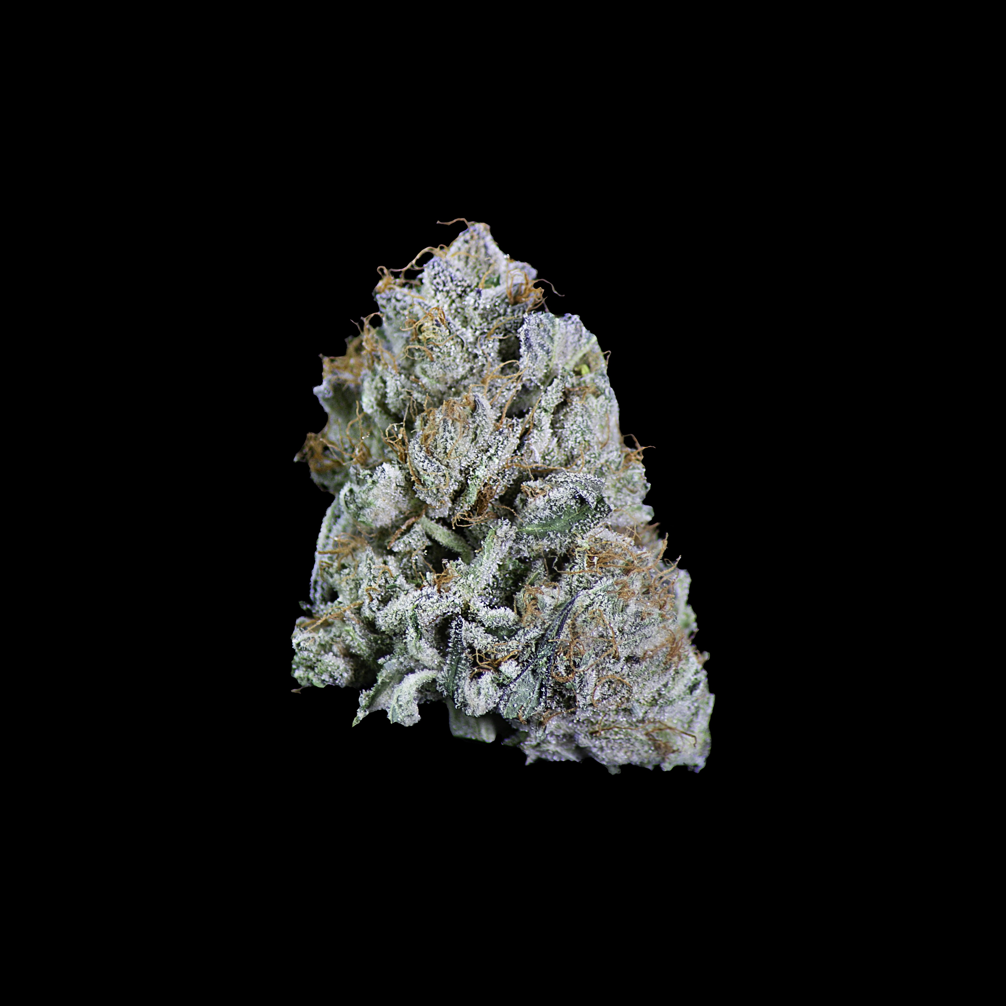 Afghani Skunk