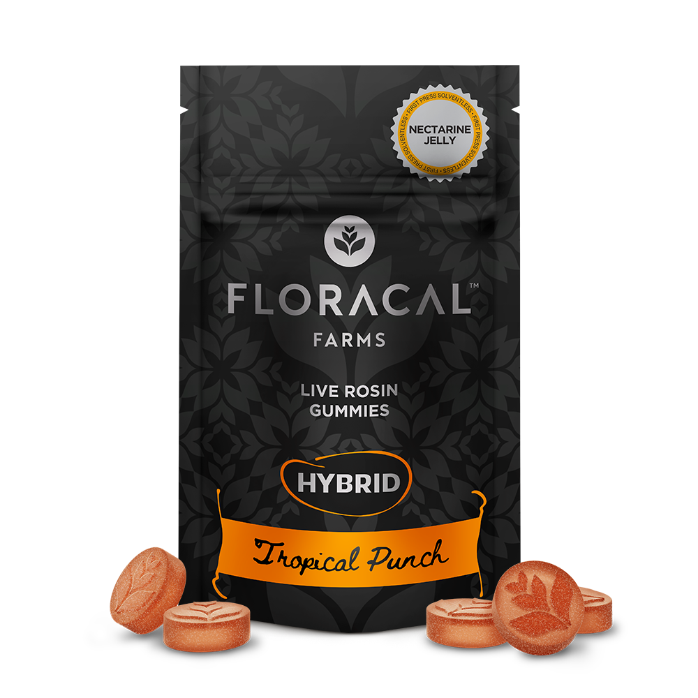 Live Rosin Gummies - Tropical Punch [10pk] (100mg)