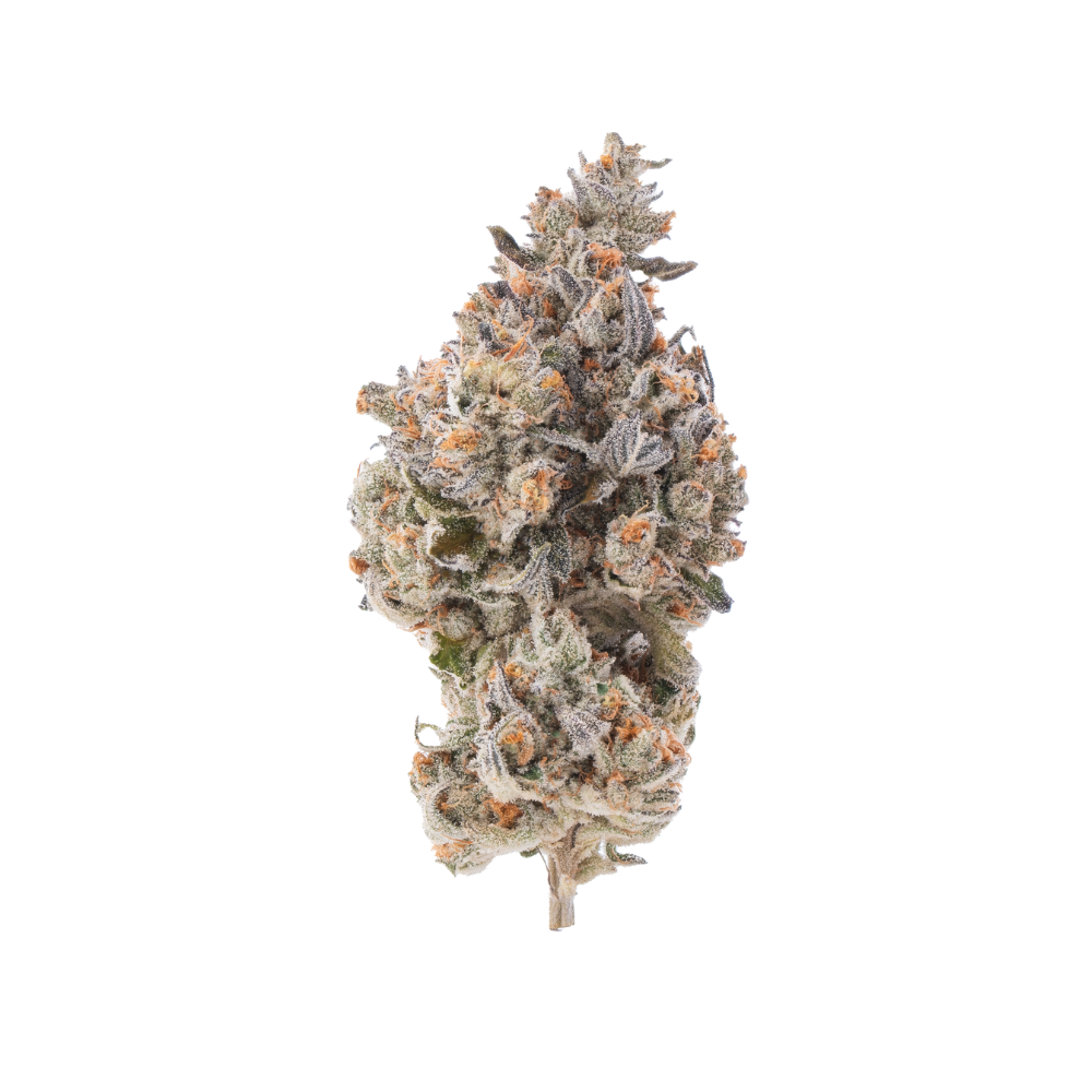 Shop Grape Mint Gas | The Dispensary - Fulton (REC) Fulton, IL