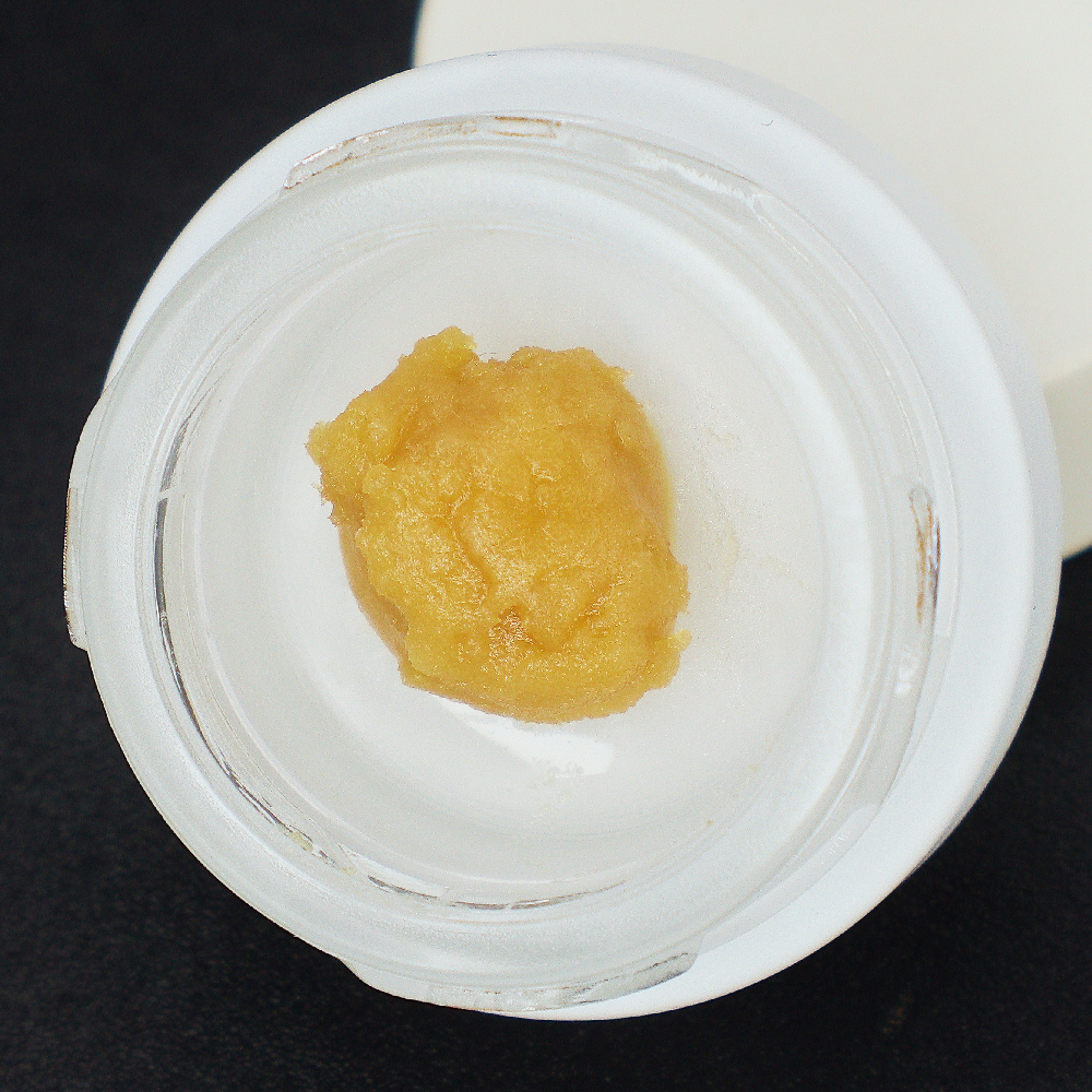 Dark Rainbow 2.0 Live Rosin Jam