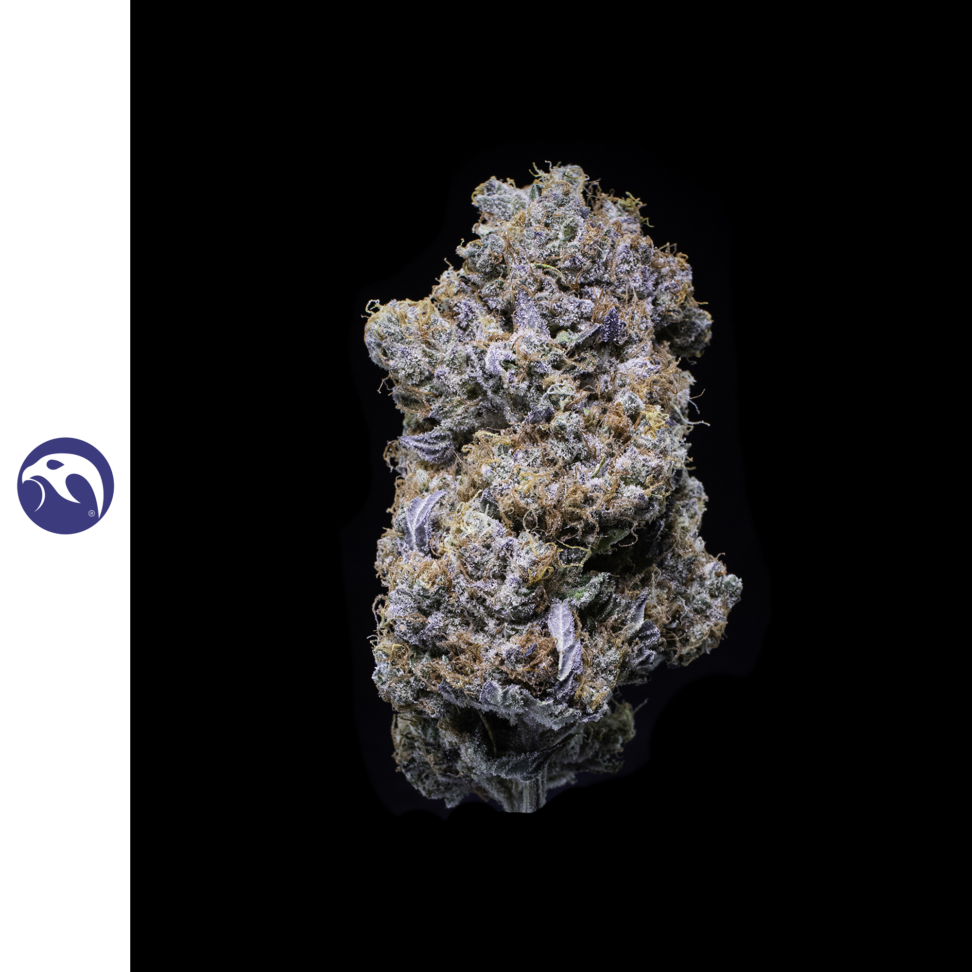 Orange Blossom Sugar Trim