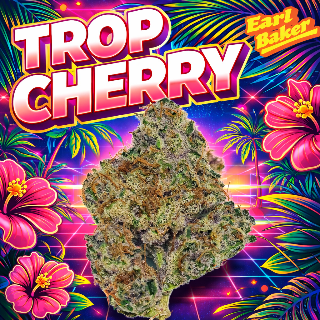 Earl Baker - Whole Flower - Trop Cherry 0107