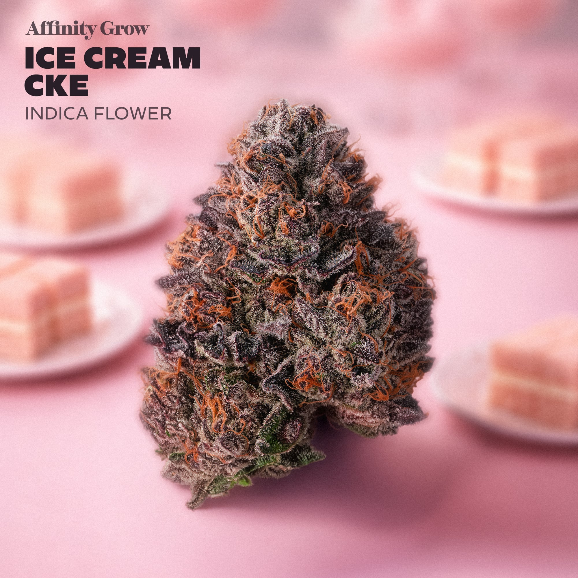 Affinity Grow - Ice Cream Cke (I) Flower C0090000926 Affinity Grow - Ice Cream Cke (I) Flower C0090000926