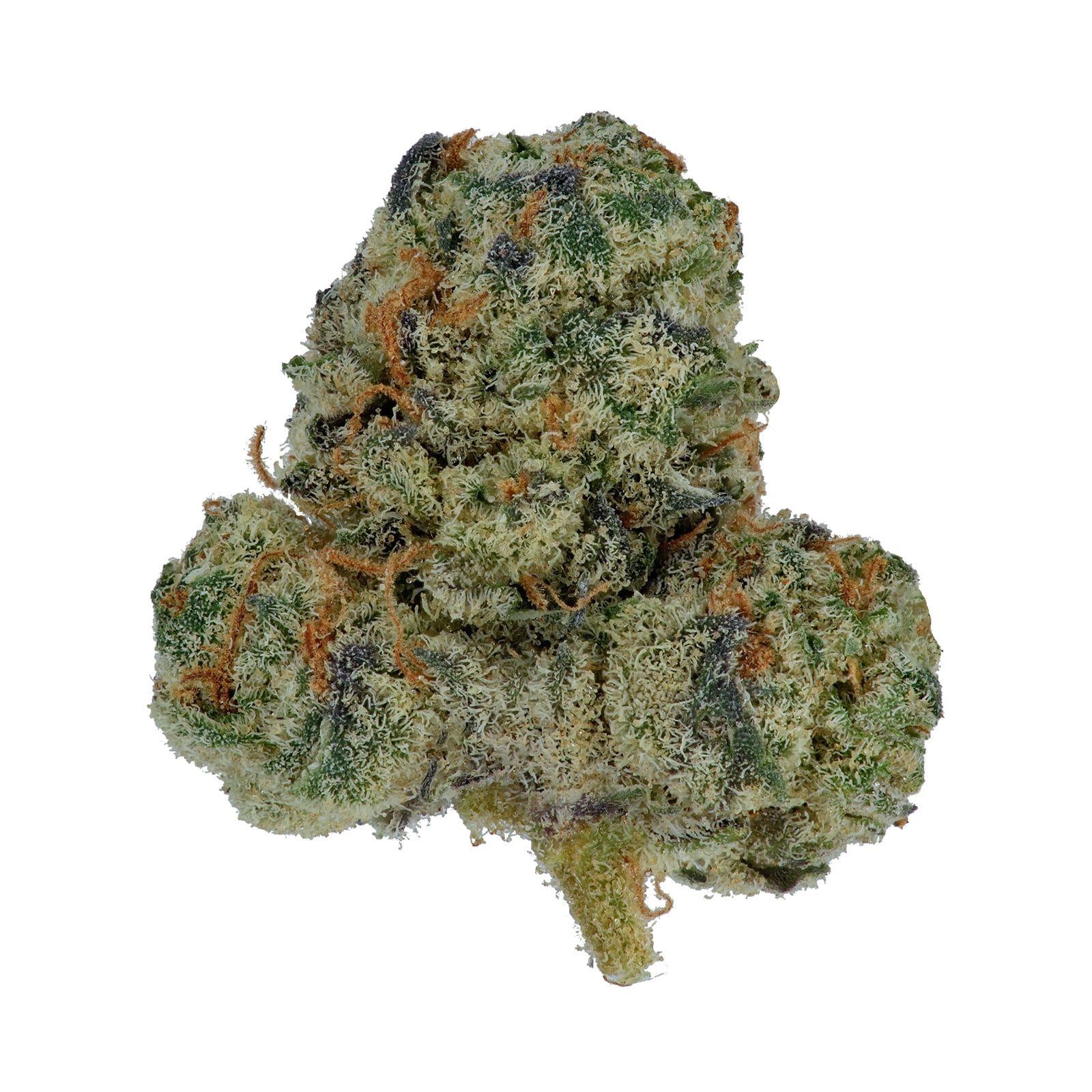 Zookies