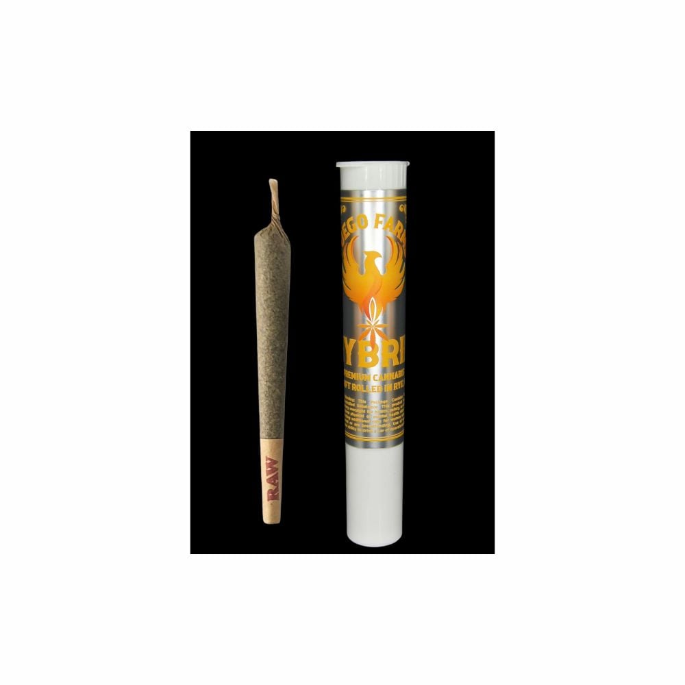 Dieselnaut [1g]