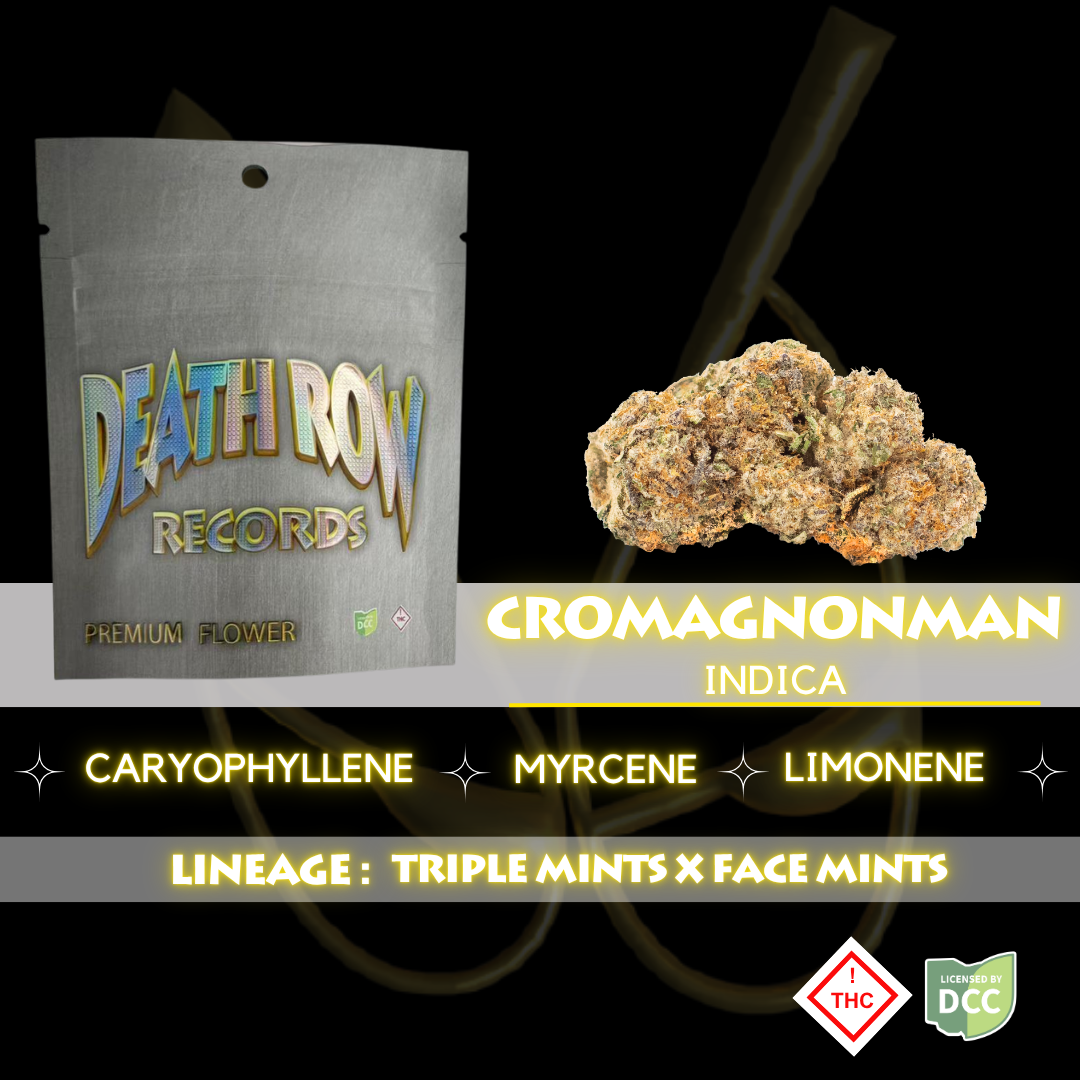 APPLE FRITTER (3.5G)