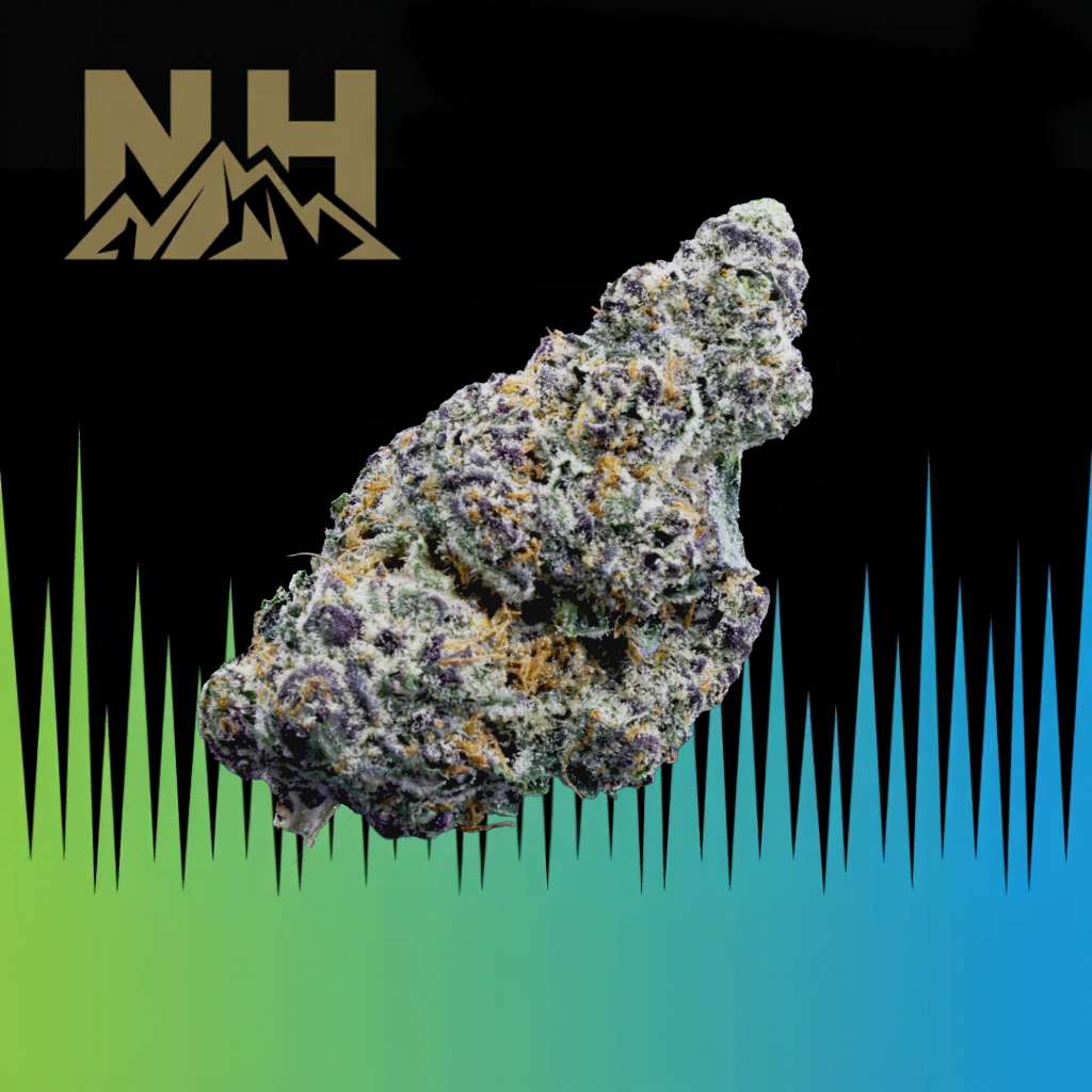 Fritter Glitter #15 Fritter Glitter #15