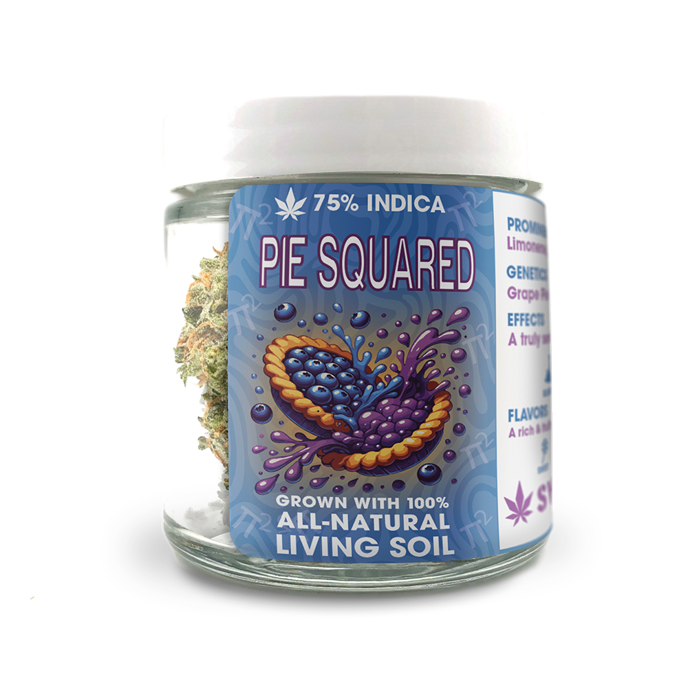 Pie Squared Pie Squared