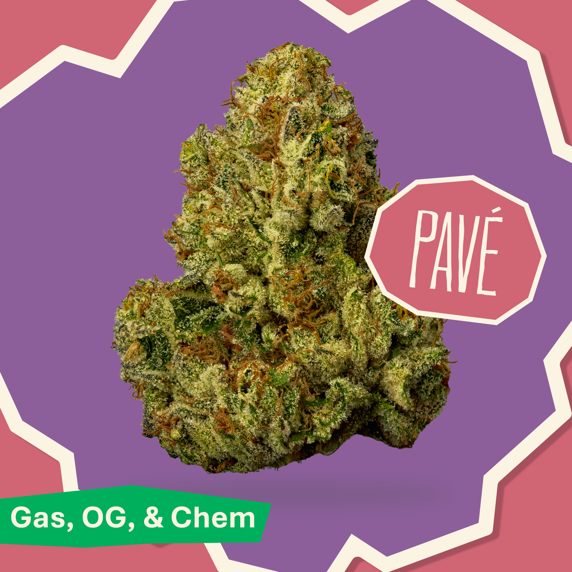 Pavé