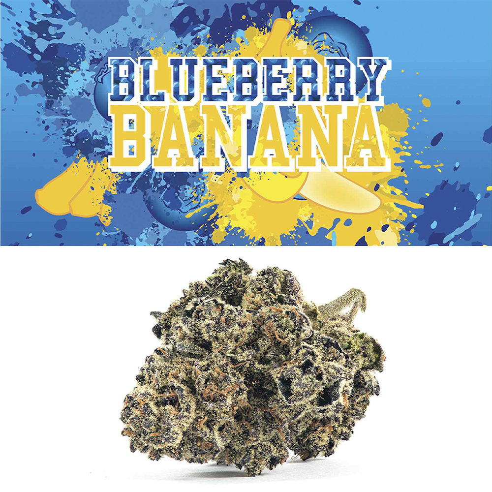 Blueberry Banana