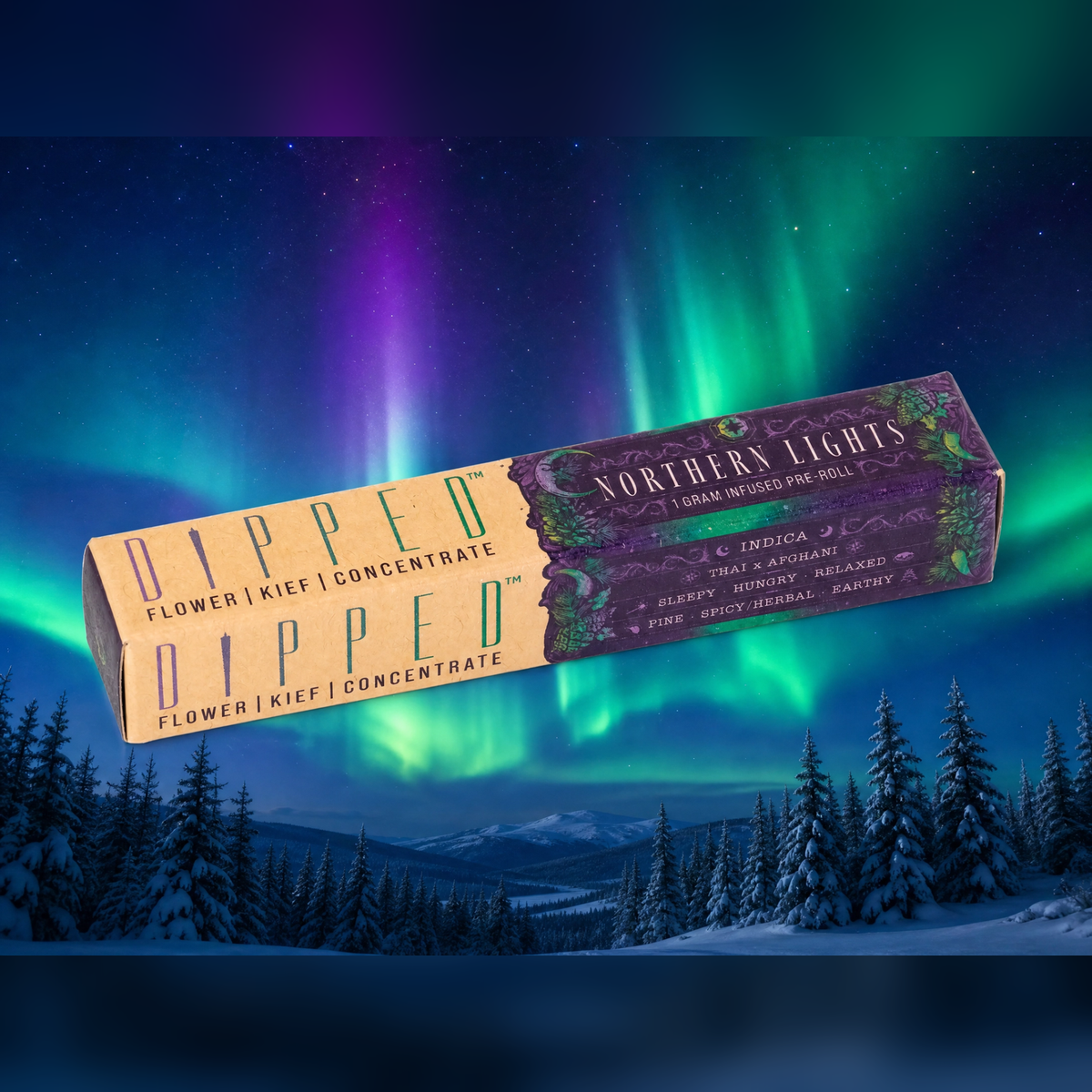 Northern Lights