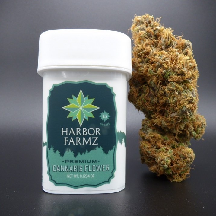 Big Harbor Diesel Harbor Farmz Jane